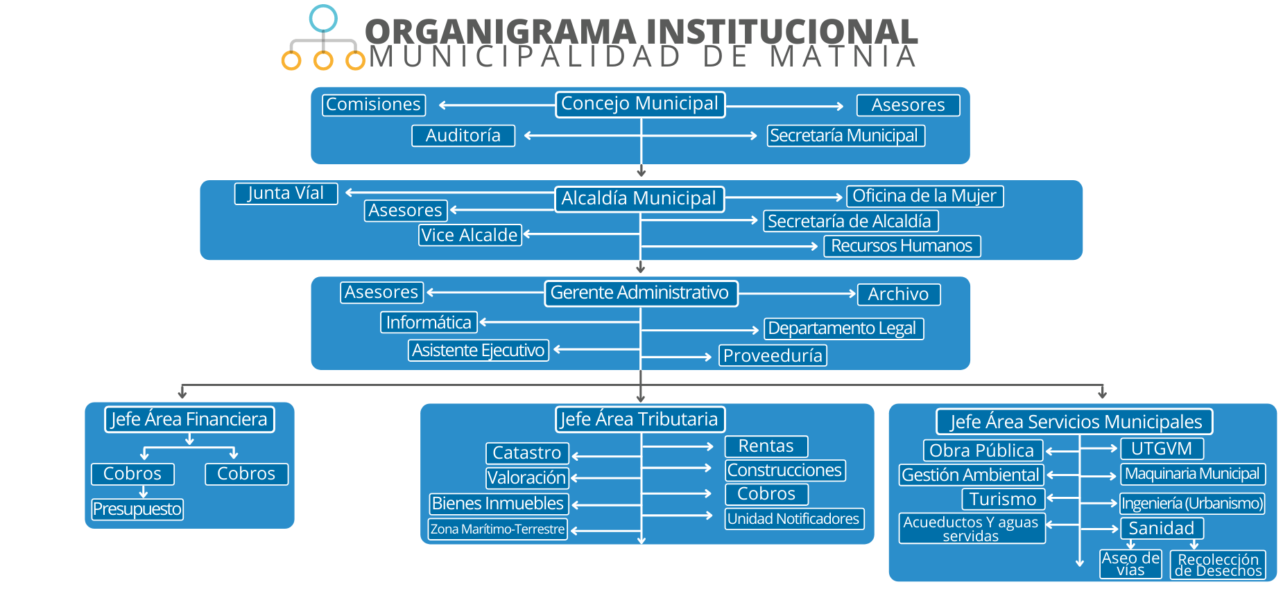 estrucutra-organizativa.png